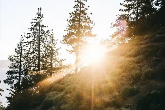 ¿Negó Van Til el concepto histórico de «luz de la naturaleza»? Una respuesta a Dr. Fesko